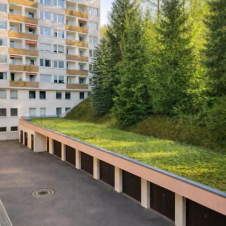 Schwarzwaldflair In Berglage Daire