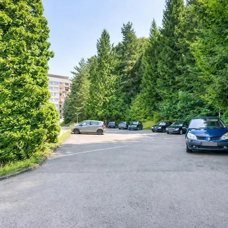 Schwarzwaldflair In Berglage *
