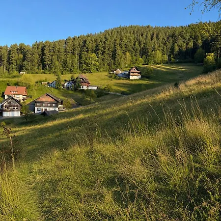 Schwarzwaldflair In Berglage * Baiersbronn