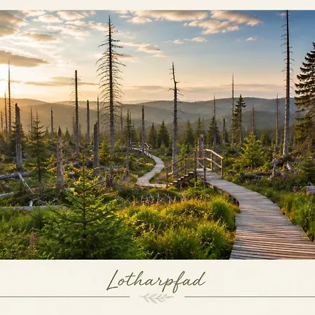 Gemeinschaftspool I Schwarzwald I Berglage 아파트