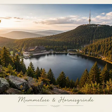 Gemeinschaftspool I Schwarzwald I Berglage 아파트 *