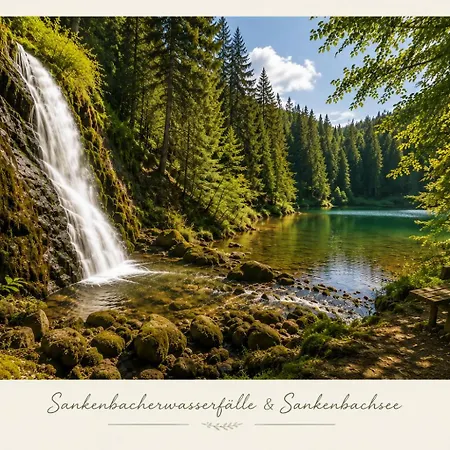Gemeinschaftspool I Schwarzwald I Berglage 아파트 바이에르스브론